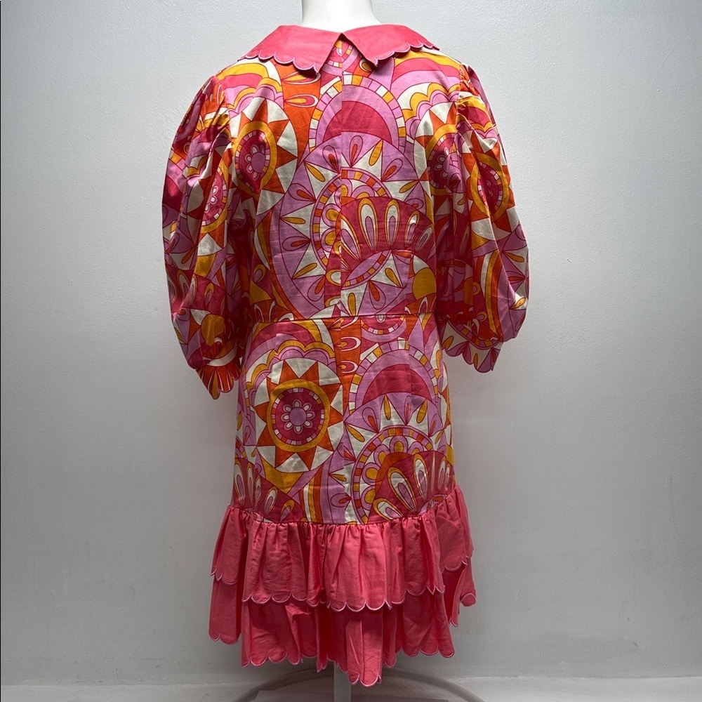 Alden Adair Piper Dress Groovy Baby Scalloped Collar Retro Paisley Pink Medium - Picture 6 of 11